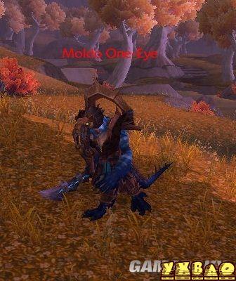 魔兽世界：熊猫人之谜野外稀有精英掉落道具大全