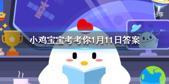 小鸡宝宝考考你哪种动物一生都在换牙
