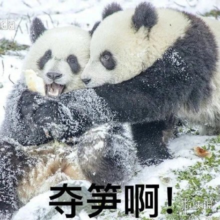 游戏筒网6