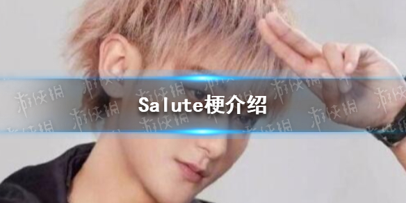 salute是什么意思梗