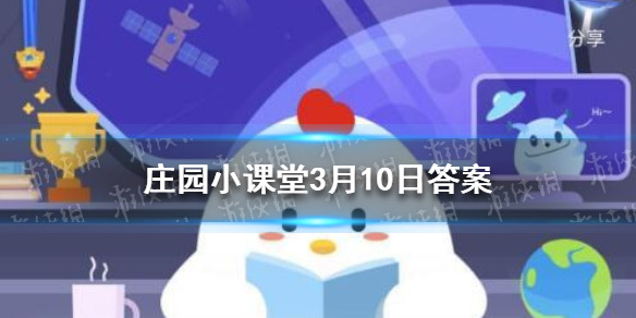 巴沙鱼片和龙利鱼片