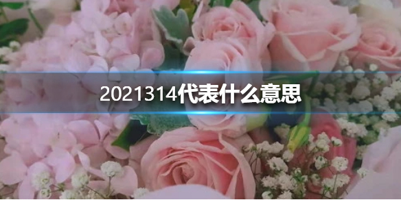 2021314代表什么意思
