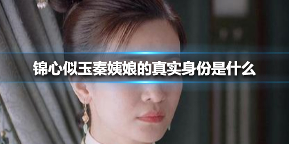 锦心似玉秦姨娘的真实身份是什么