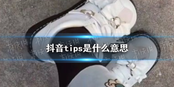 tips是什么意思