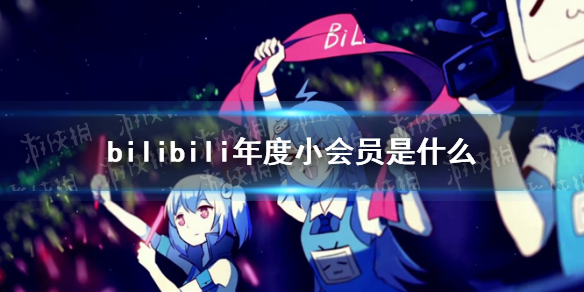 bilibili年度小会员是什么