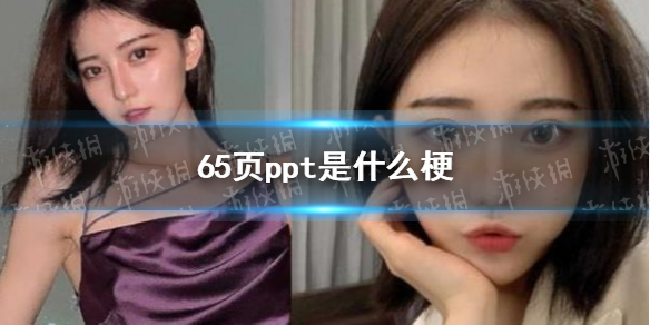 65页ppt是什么梗