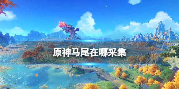 原神马尾在哪采集