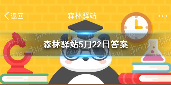 马来熊下树的姿势是什么