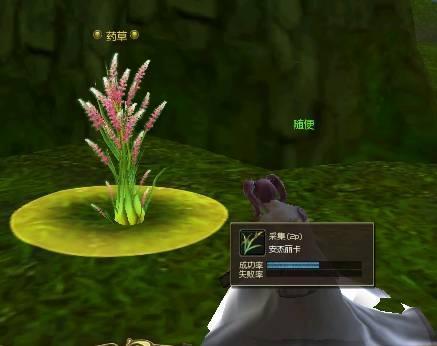 永恒之塔——采集制作系统