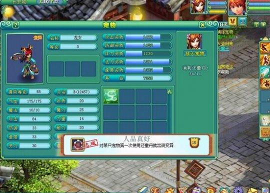 神武玩家变异龙女打书全纪录