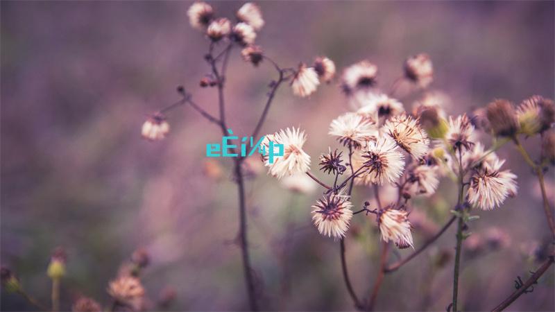这不是汉字活体雕塑攻略详解