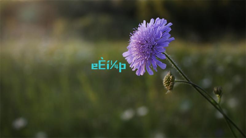 英雄联盟炼金龙魂效果怎么样