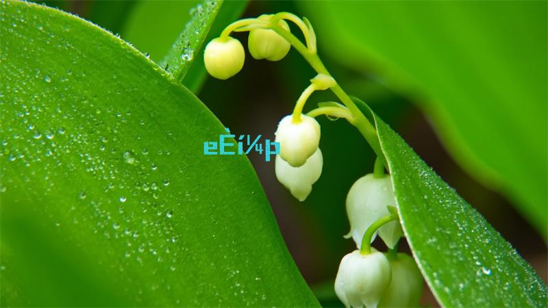 质量良心的双性宠文和纯耽美宠文