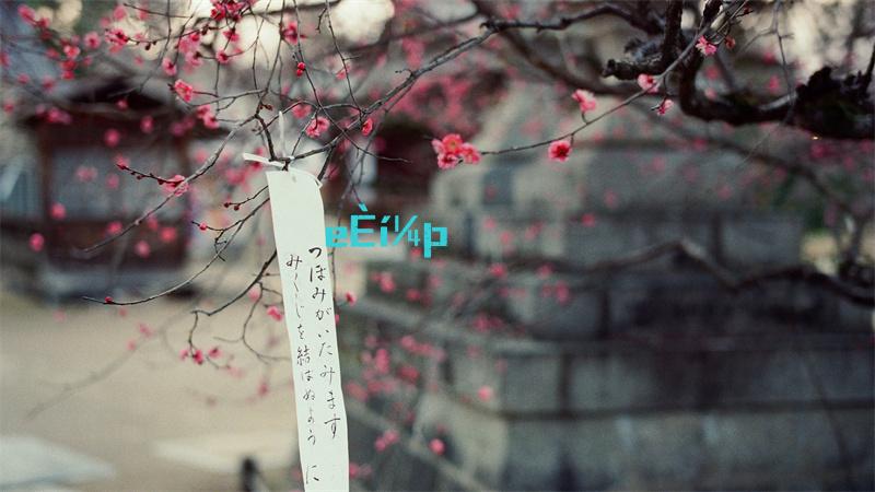 文字乾坤工友讨薪帮助工友讨薪100w攻略详情