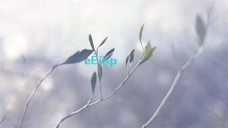 汉字找茬王快速整理好房屋攻略详解