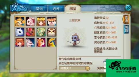 诛仙宠物攻略