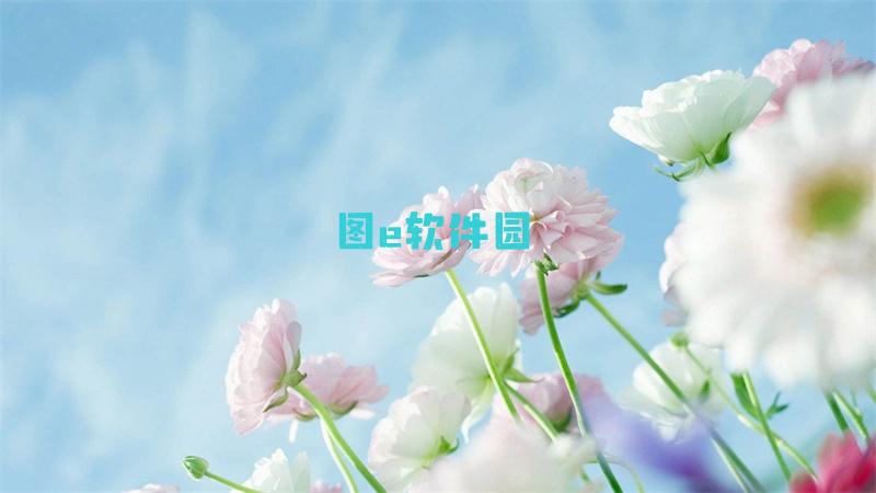 抢票技巧攻略