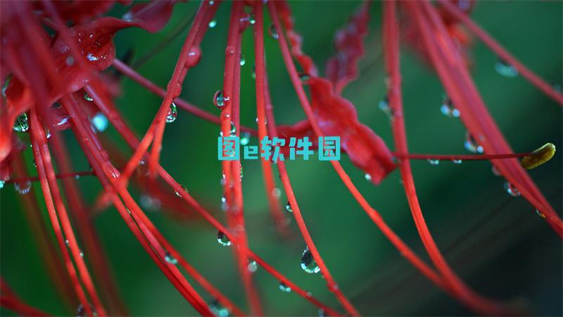 DNF手游冰结师刷图PK加点汇总DNF移动版冰结师攻略大全