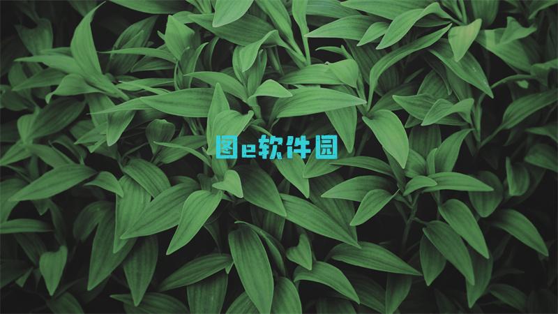 仙五支线任务攻略