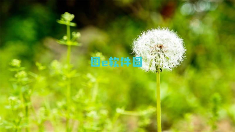 生化危机启示录2攻略