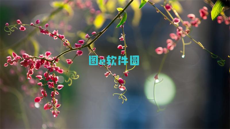 新部落守卫战8