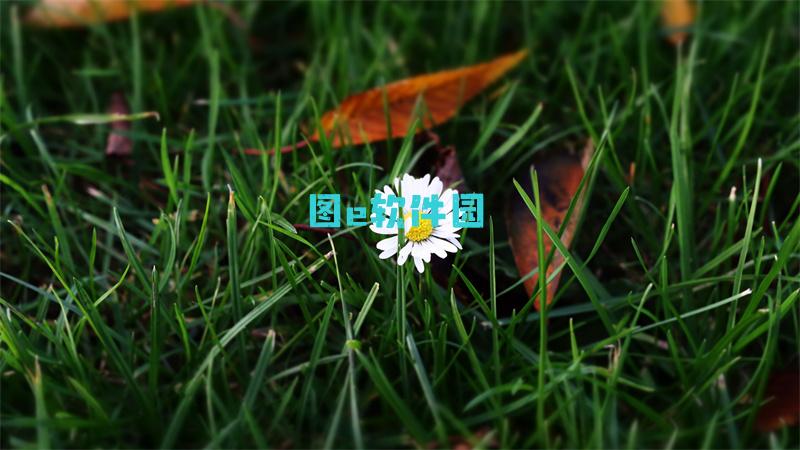 LOLADC荣耀行刑官玩法介绍【详解】