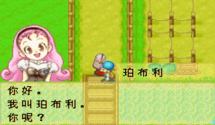 牧场物语矿石镇的伙伴们金手指作弊码大全