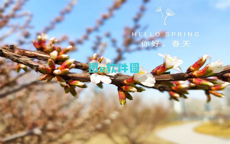 神魔大陆2吟游诗人攻略神魔大陆fc