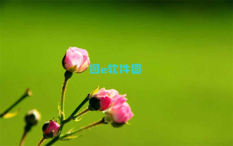 火焰节成就攻略