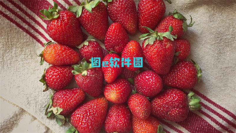 ro仙境传说升级攻略