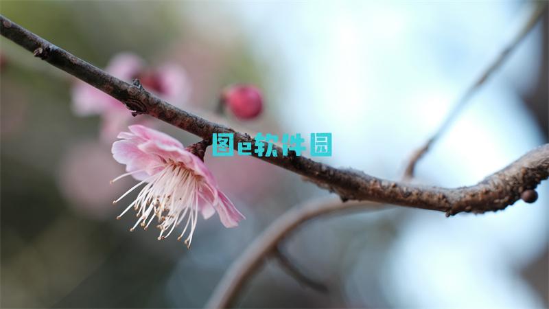 神仙道丹药攻略