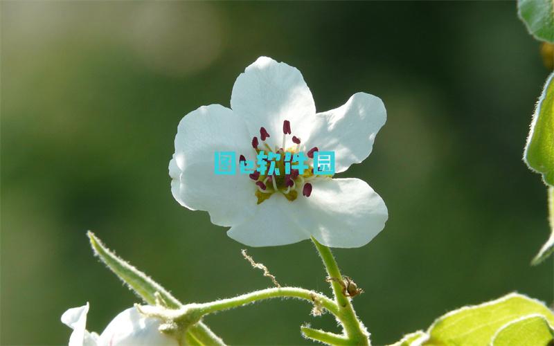 神仙道19妹攻略