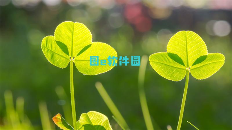 侠客风云传孤独九剑攻略