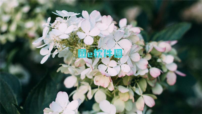 生化危机8贵妇杀手挑战快速达成技巧一览
