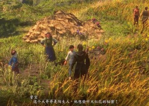 河洛群侠传大红花的秘密是什么
