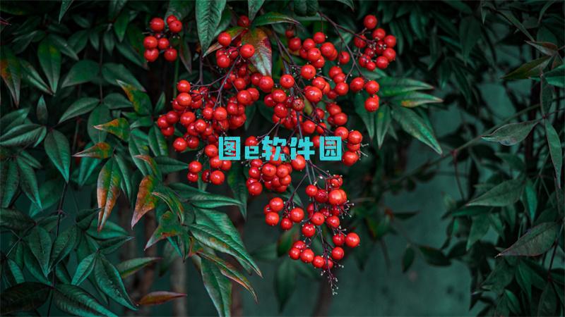 鬼泣5DLC买哪个好Steam版DLC内容及购买推荐