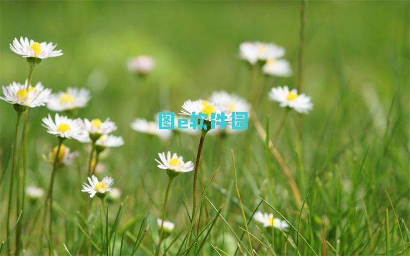 神佑释放第三战役永无止尽的战斗任务流程分享【详解】