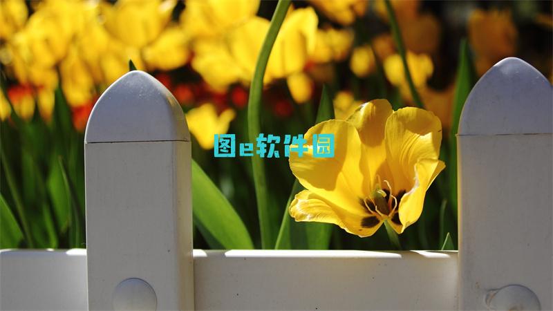 《天天飞车》7月做任务刷4210钻石