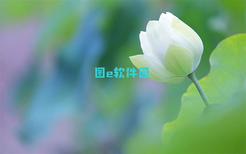 《原神》37七圣召唤阿提亚稳过攻略