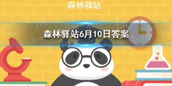 长鼻猴喜爱的食物很多