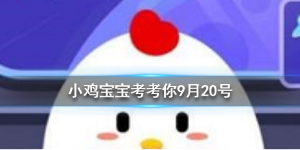 小鸡宝宝考考你踮脚走路可以瘦腿吗