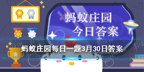 知否知否蚂蚁庄园