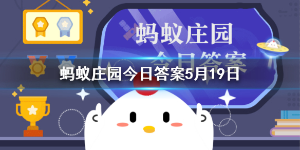 大雁和喜鹊哪种鸟类曾是婚娶时的聘礼
