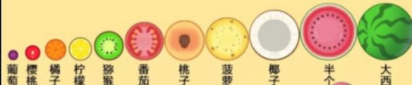 游戏筒网2
