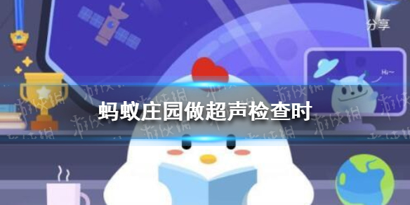 超声检查蚂蚁庄园