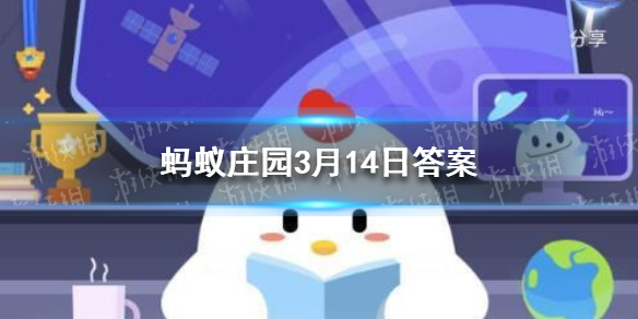 宇航员清炖羊肉