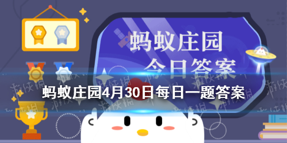 老夫聊发少年狂小鸡庄园