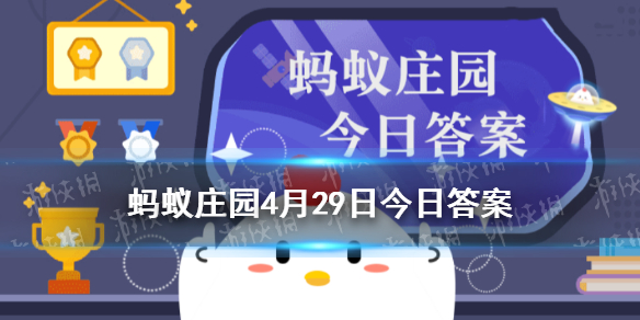 下列词牌名中蚂蚁庄园