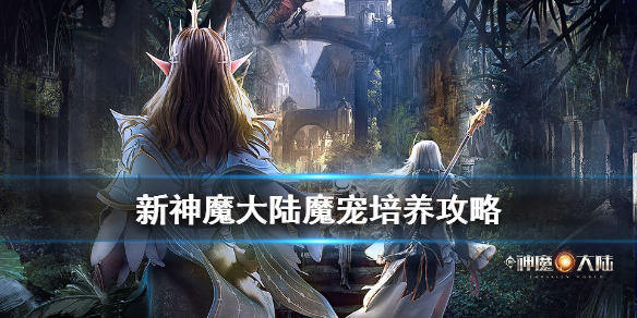 《新神魔大陆》魔宠培养攻略
