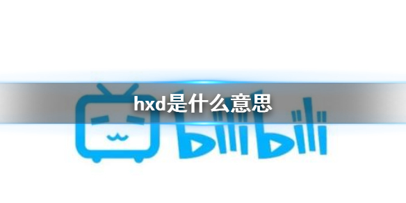 hxd是什么意思
